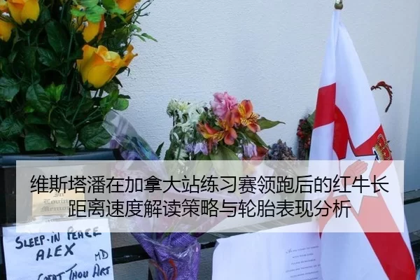 维斯塔潘在加拿大站练习赛领跑后的红牛长距离速度解读策略与轮胎表现分析